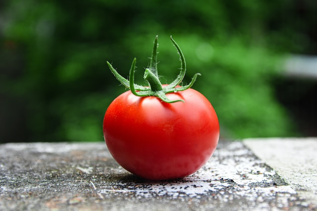 tomate fruit ou legume